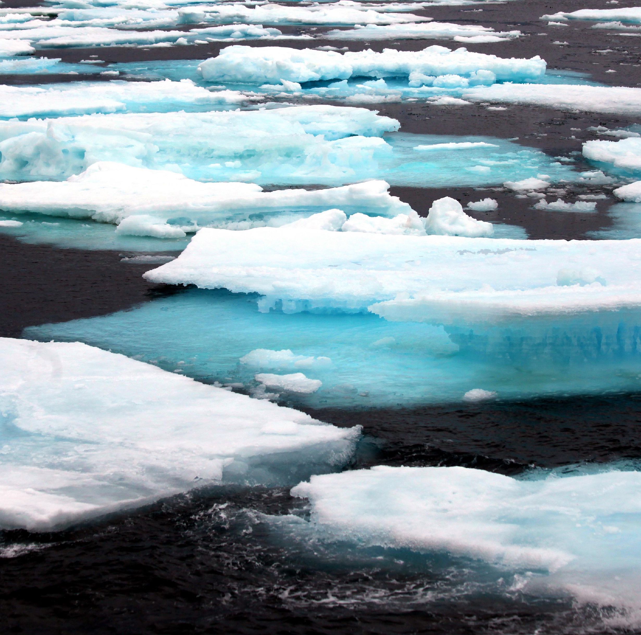 4973677407 aaef445b5b o square