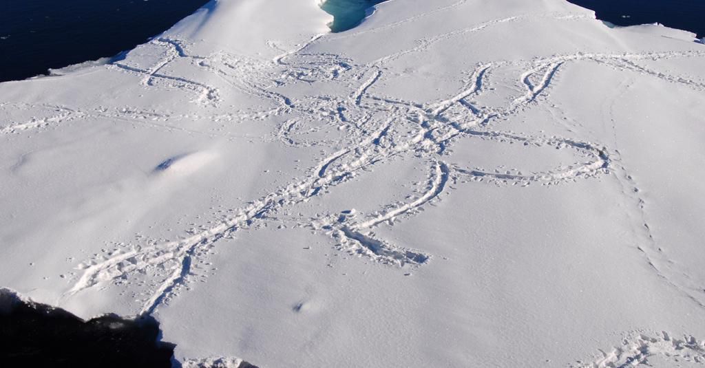 AI may provide orientation in a pitch black room